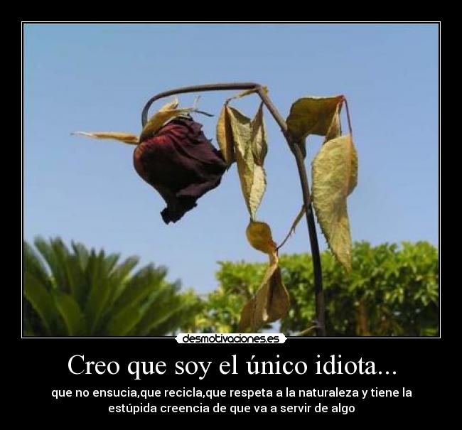 carteles mientras reciclo 1kg vidrio hay una caneria del tamano casa soltando mierda lag desmotivaciones