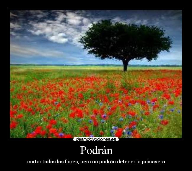 Podrán - cortar todas las flores, pero no podrán detener la primavera