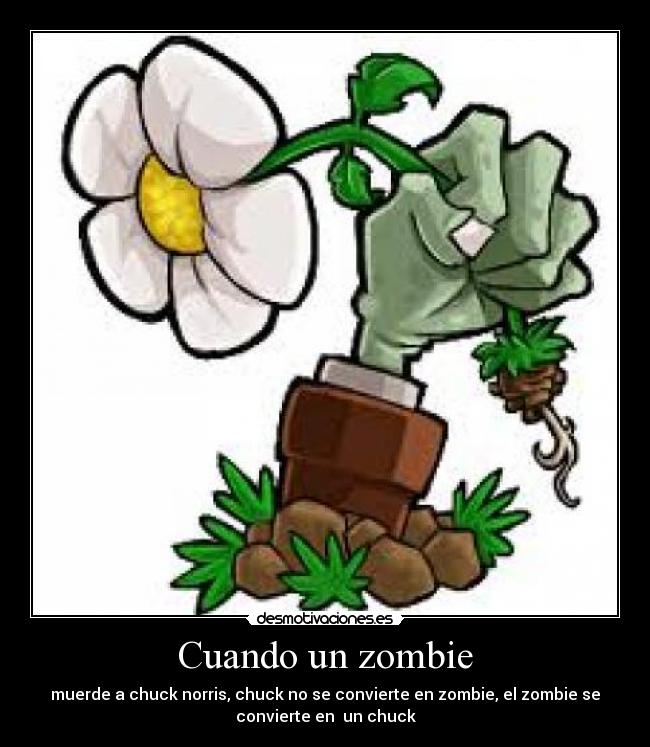 Cuando un zombie - muerde a chuck norris, chuck no se convierte en zombie, el zombie se
convierte en  un chuck