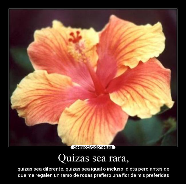 Quizas sea rara, -
