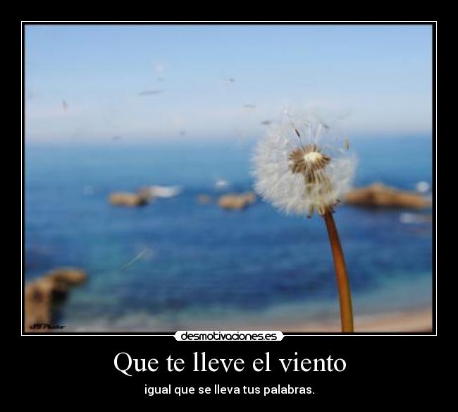 carteles que lleve viento ariadnap desmotivaciones