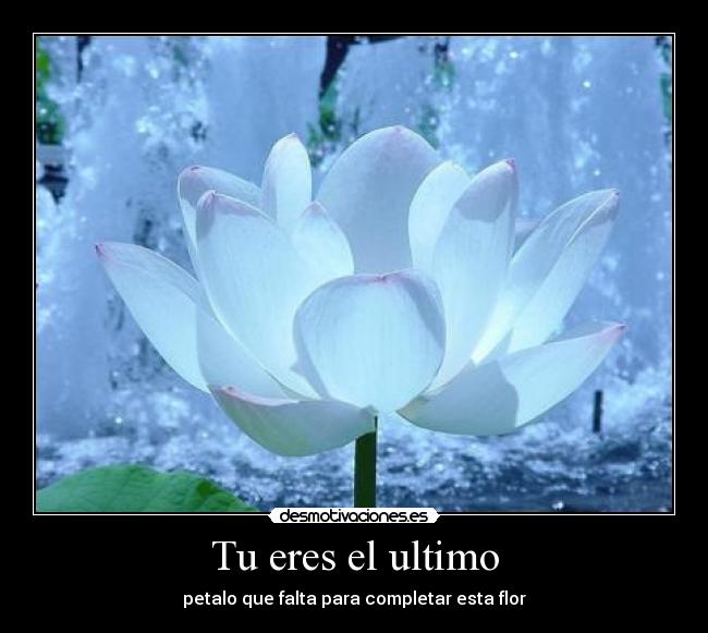 Tu eres el ultimo - petalo que falta para completar esta flor