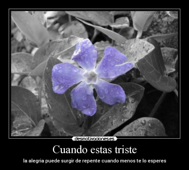 Cuando estas triste - 