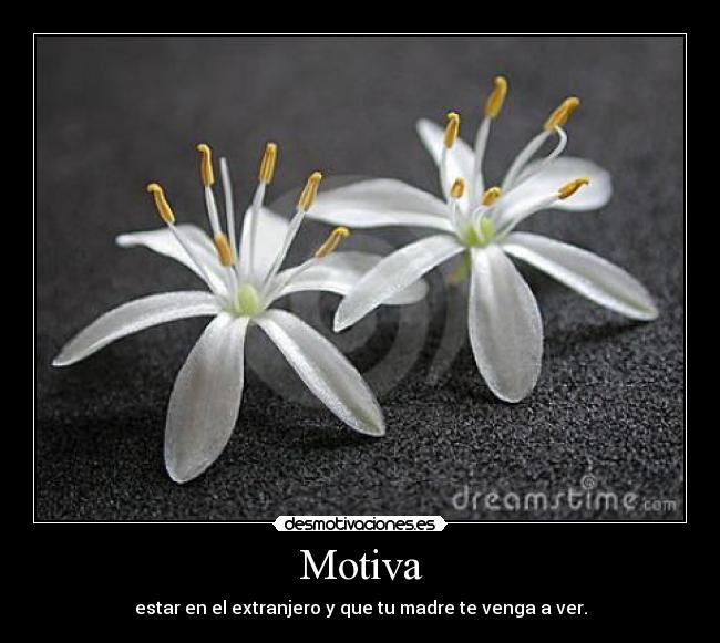 carteles wiiii desmotivaciones