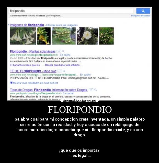 FLORIPONDIO - palabra cual para mi concepción creía inventada, un simple palabro
sin relación con la realidad, y hoy a causa de un relámpago de
locura matutina logro concebir que si... floripondio existe, y es una
droga.
¿qué qué os importa?
... es legal ...