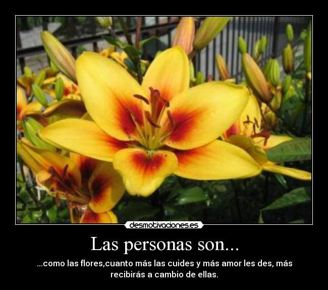 Las personas son... - 