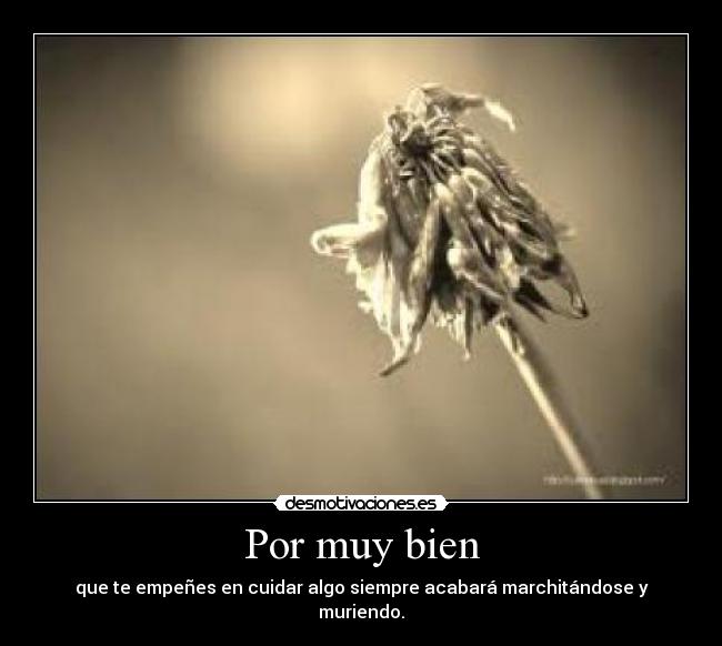 Por muy bien - que te empeñes en cuidar algo siempre acabará marchitándose y muriendo.