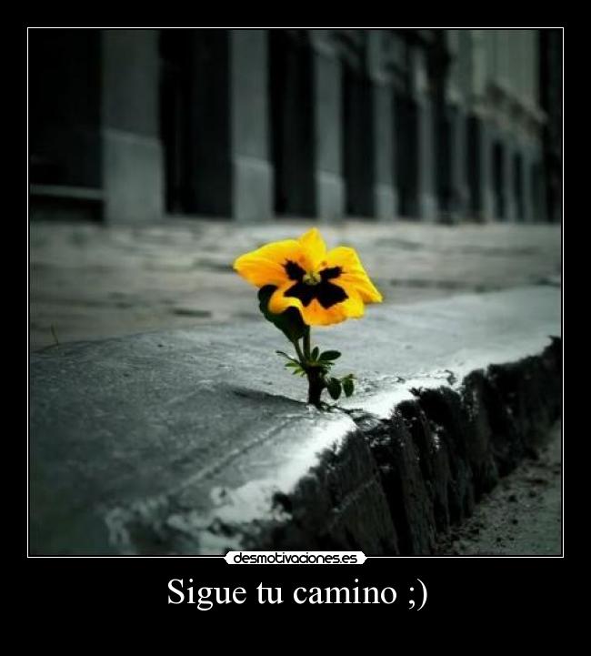 Sigue tu camino ;) - 
