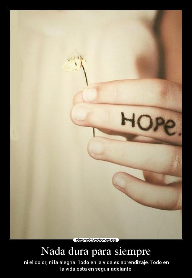 Nada dura para siempre - ni el dolor, ni la alegría. Todo en la vida es aprendizaje. Todo en
la vida esta en seguir adelante.