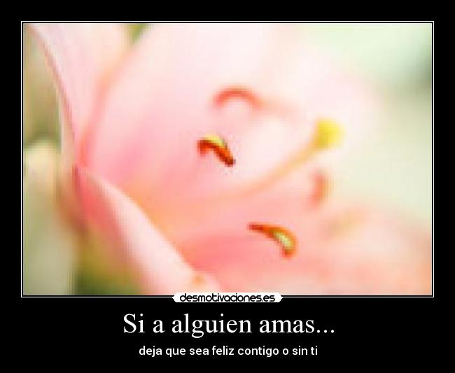 Si a alguien amas... - deja que sea feliz contigo o sin ti