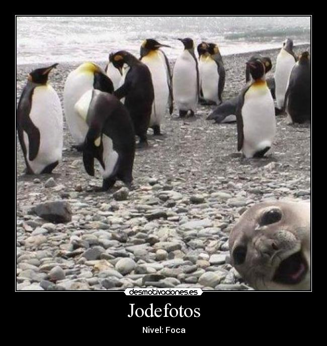 Jodefotos - 