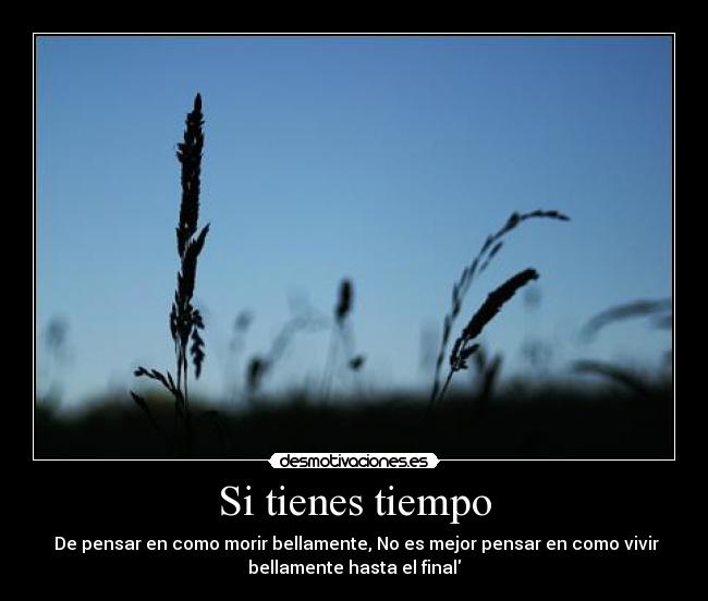 Si tienes tiempo - De pensar en como morir bellamente, No es mejor pensar en como vivir
bellamente hasta el final