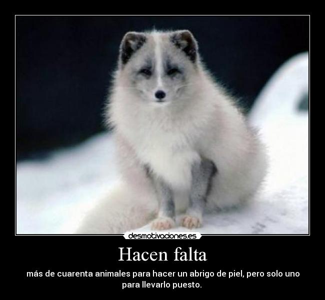Hacen falta -