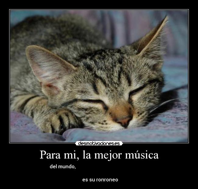 Para mi, la mejor música - del mundo,                                                            
                                                                      
   es su ronroneo 