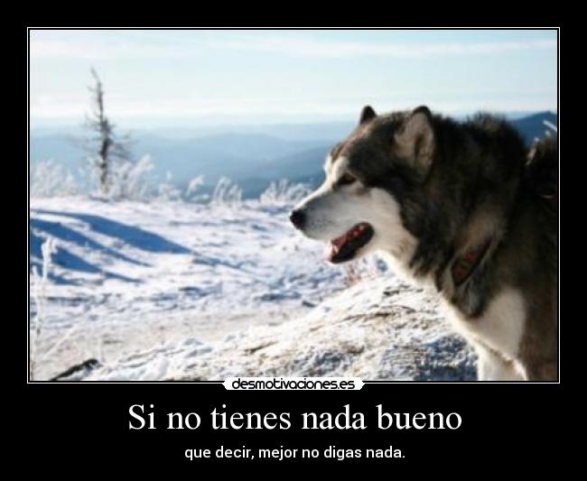 Si no tienes nada bueno - que decir, mejor no digas nada.