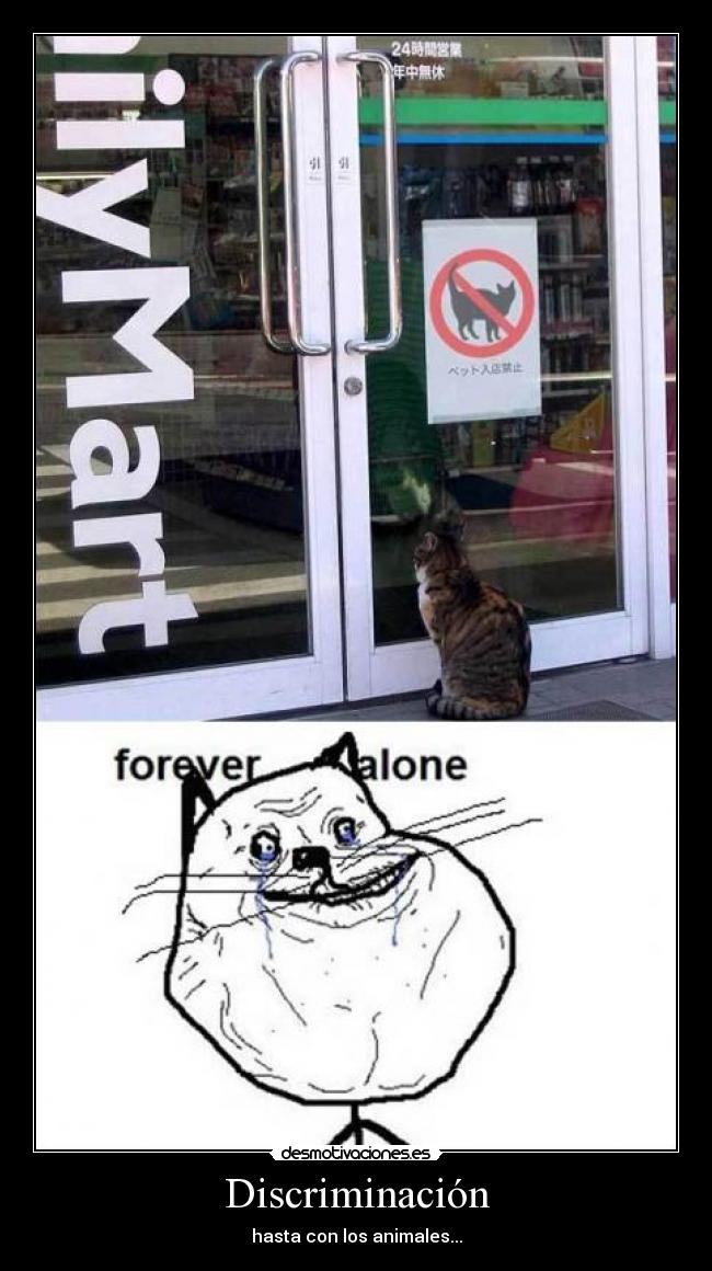 Discriminación - hasta con los animales...