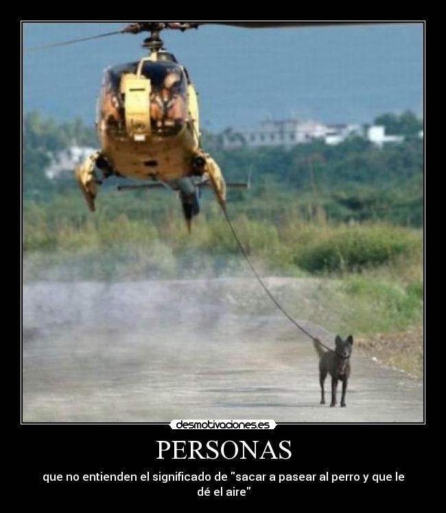 PERSONAS - 