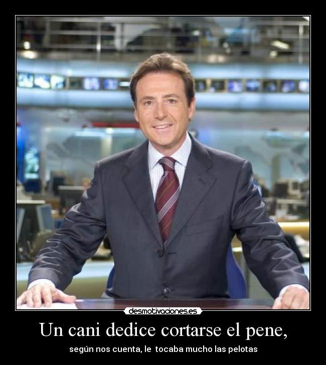 Un cani dedice cortarse el pene, -