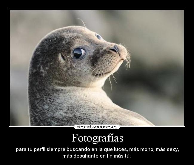 Fotografías - para tu perfil siempre buscando en la que luces, más mono, más sexy,
más desafiante en fin más tú. 