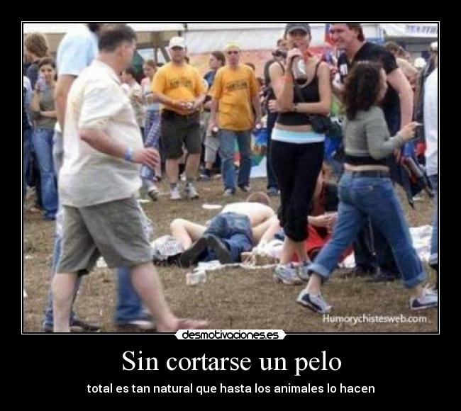 carteles sadf desmotivaciones