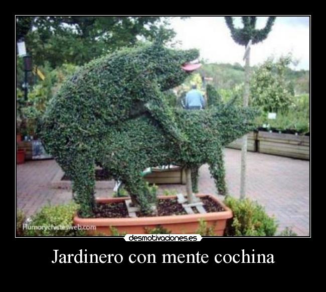 carteles werqtgh desmotivaciones