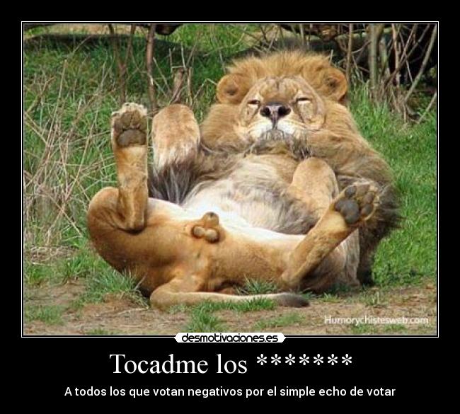 Tocadme los ******* - A todos los que votan negativos por el simple echo de votar