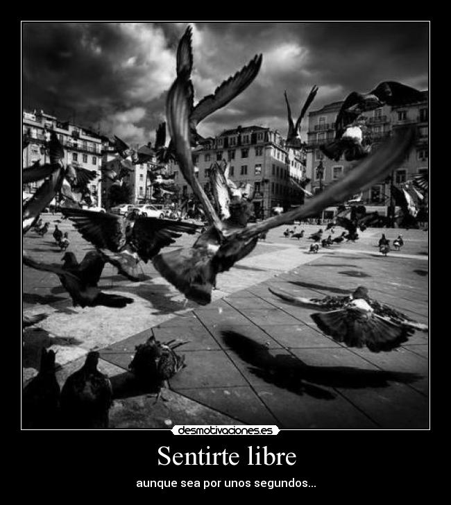 Sentirte libre - aunque sea por unos segundos...