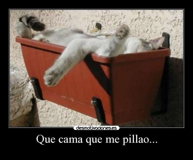 Que cama que me pillao... -