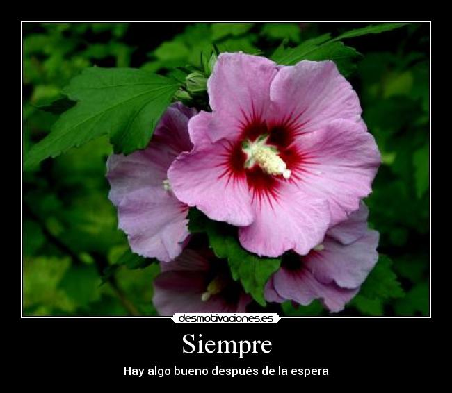 Siempre - Hay algo bueno después de la espera