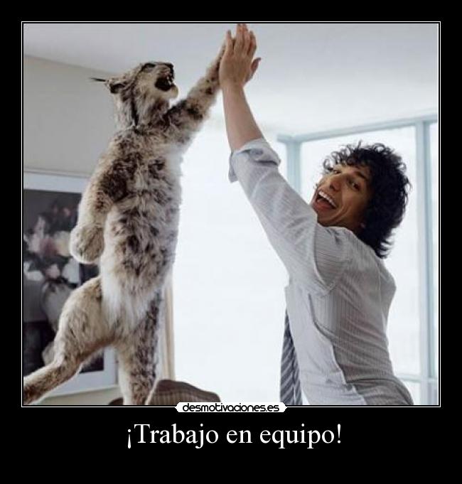 ¡Trabajo en equipo! - 