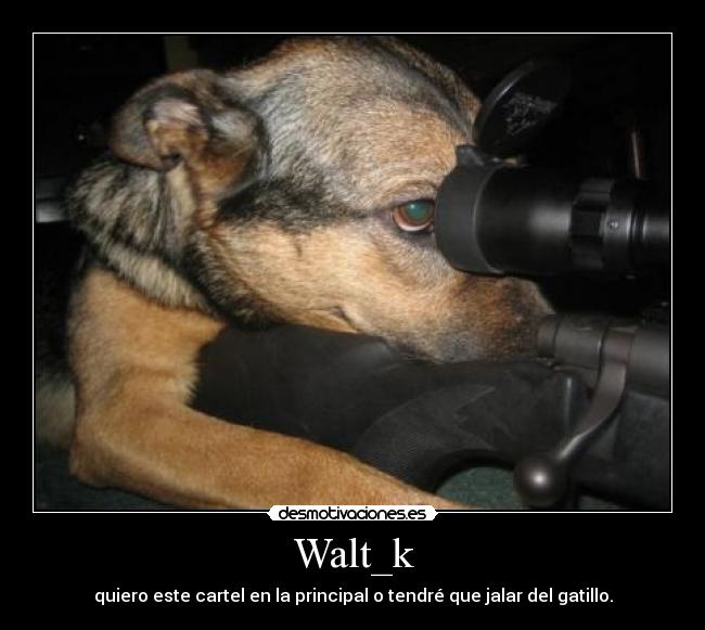 Walt_k - quiero este cartel en la principal o tendré que jalar del gatillo.