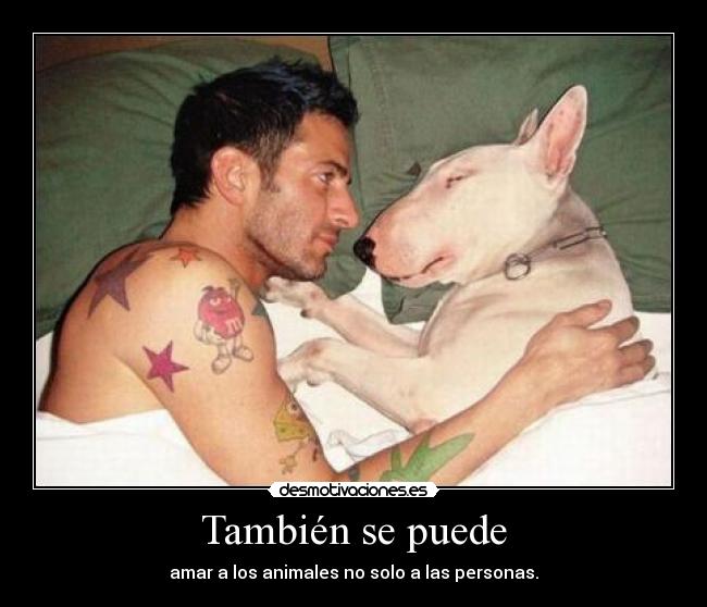 También se puede - amar a los animales no solo a las personas.