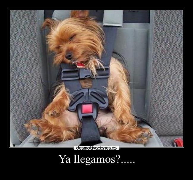 Ya llegamos?..... -
