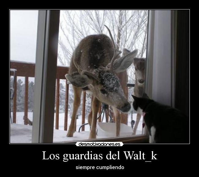 Los guardias del Walt_k - siempre cumpliendo
