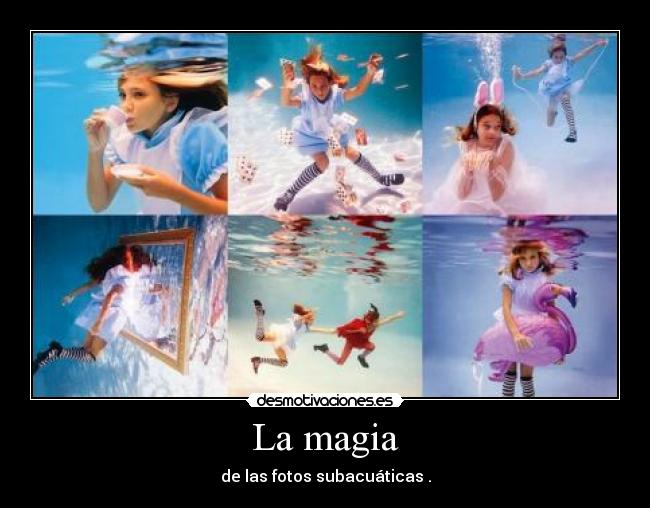 La magia - de las fotos subacuáticas .
