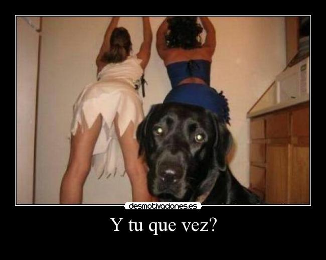 Y tu que vez? - 