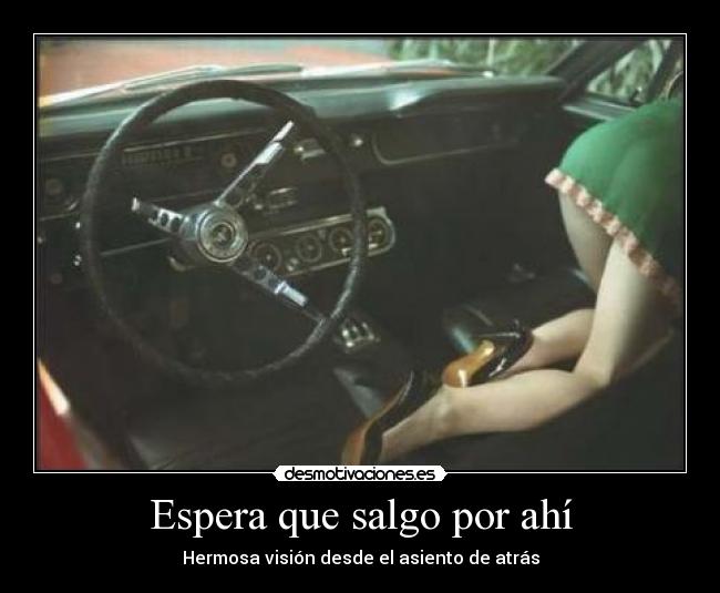 Espera que salgo por ahí - Hermosa visión desde el asiento de atrás