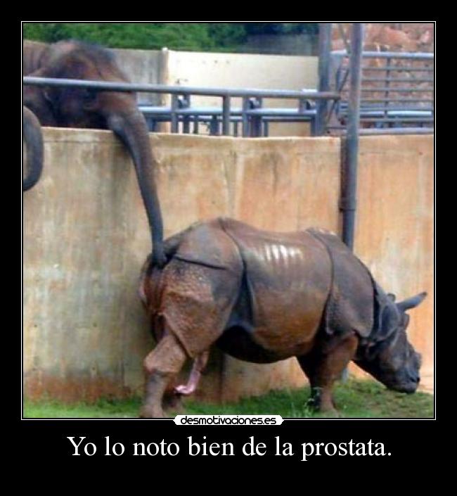 Yo lo noto bien de la prostata. -