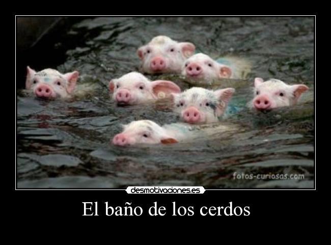El baño de los cerdos -