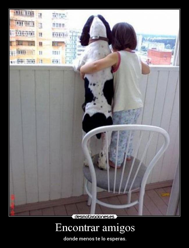 Encontrar amigos - donde menos te lo esperas.