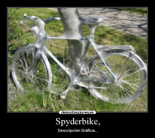 Spyderbike, - Descripción Gráfica...