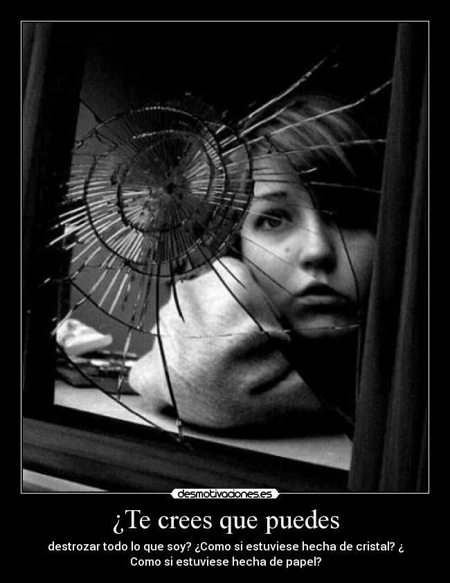 carteles crees que puedes desmotivaciones