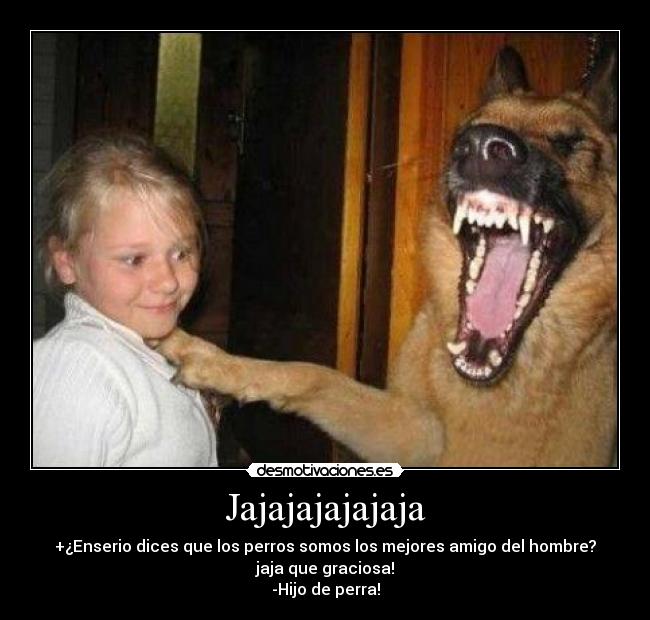 Jajajajajajaja - +¿Enserio dices que los perros somos los mejores amigo del hombre?
jaja que graciosa!
-Hijo de perra!