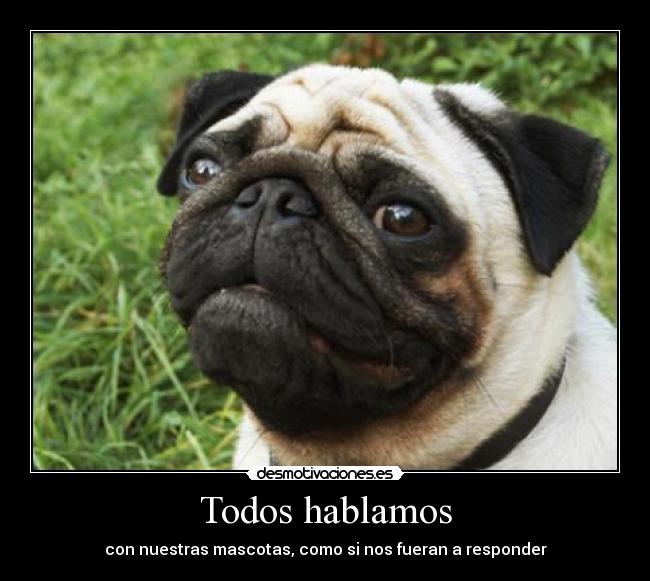 Todos hablamos - 