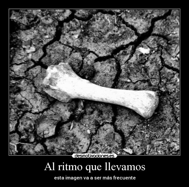 Al ritmo que llevamos - 