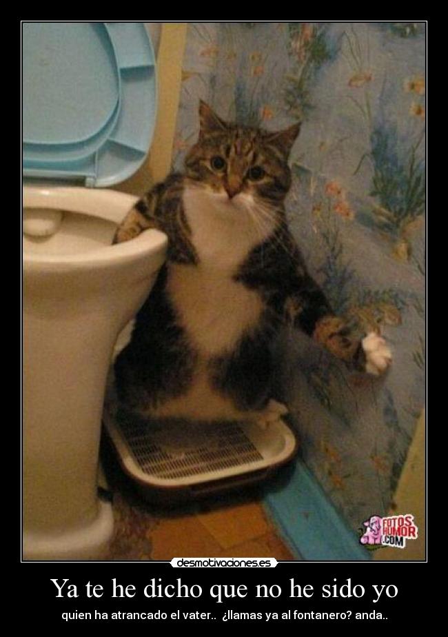 Ya te he dicho que no he sido yo - quien ha atrancado el vater.. ¿llamas ya al fontanero? anda..