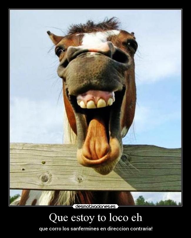 Que estoy to loco eh - 