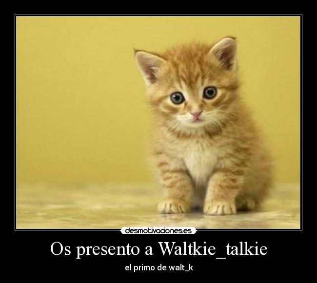 Os presento a Waltkie_talkie - el primo de walt_k