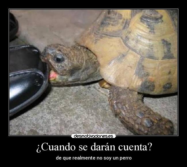 ¿Cuando se darán cuenta? -