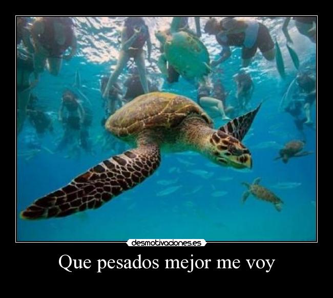 Que pesados mejor me voy -